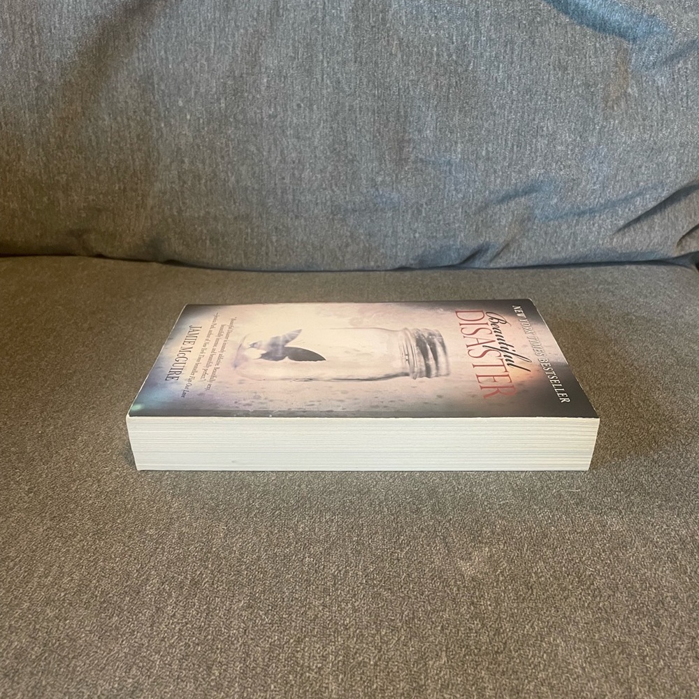 “Beautiful Disaster” Novel - Picture 5 of 6